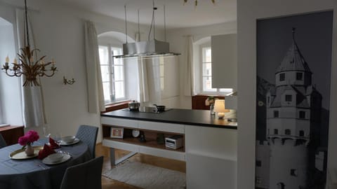 Kitchen or kitchenette, Dining area, stove