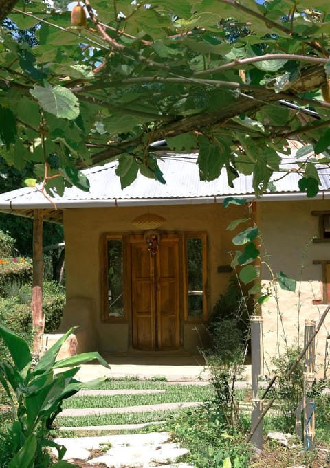 Property building, Spring, Garden