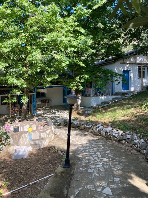 Property building, Garden, Garden view