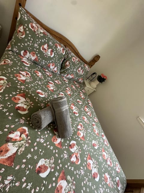 Old Town Place Apartment in Edinburgh