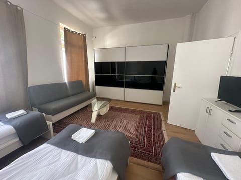 Große Ferienwohnung Limburg Diez Apartment in Limburg