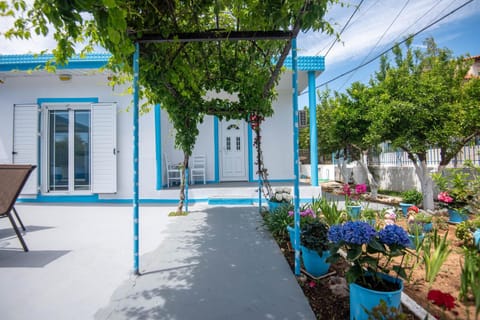 Property building, Garden view