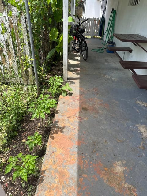 Inner courtyard view