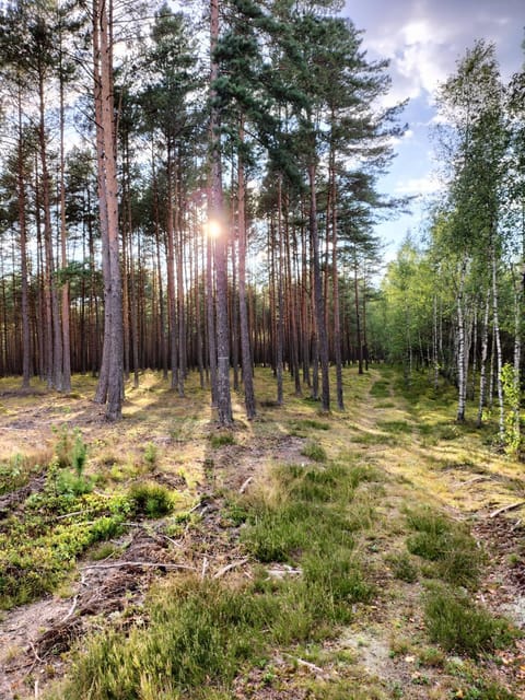 Day, Natural landscape