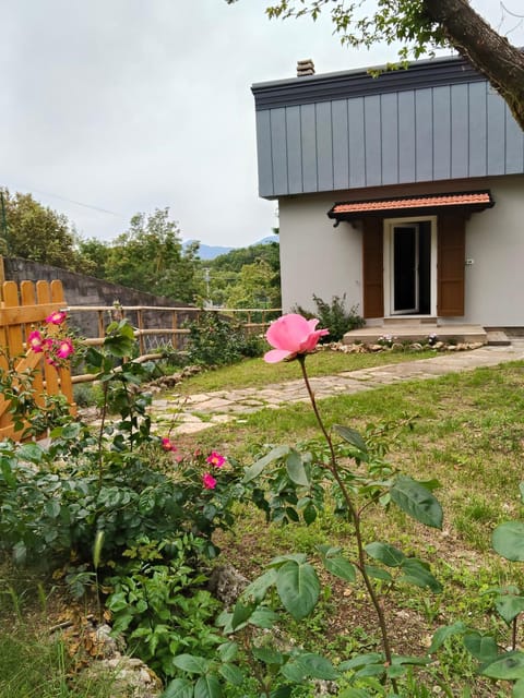 Property building, Spring, Garden, Garden view