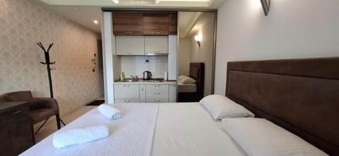 Kitchen or kitchenette, Bedroom
