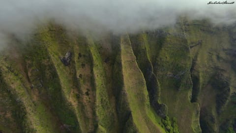 Fully Decked All Tan FJ Cruiser! Luxury tent in Waipouli Beach