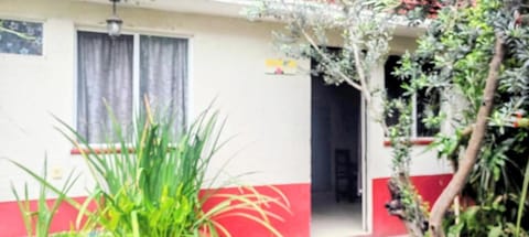 Casa Soto Apartment in Oaxaca