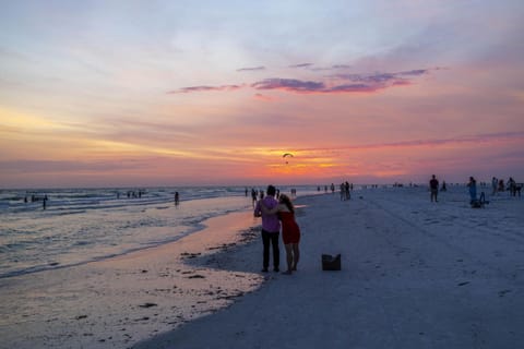 The Village Breeze II - White-sand, Pool, Beaches, Daiquiris, Seafood! Apartment in Siesta Key