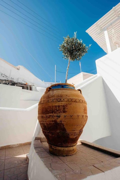 Argo Traditional Cave house Apartment in Mesaria