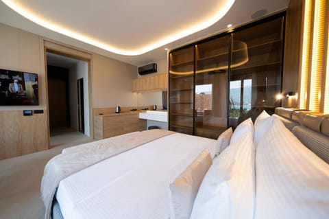 Bed, TV and multimedia, Bedroom