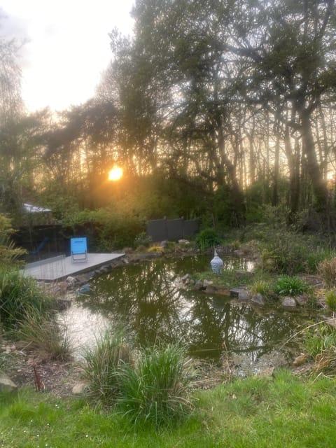 Natural landscape, Garden, Garden view, Sunset