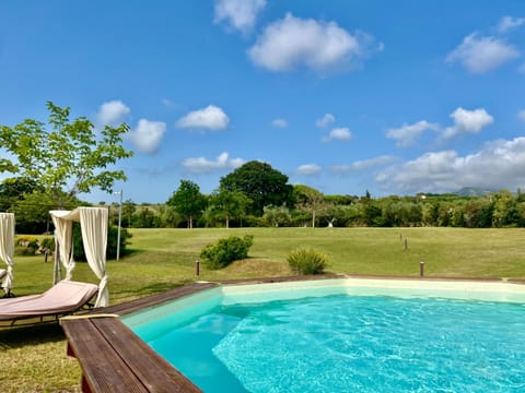 Day, Natural landscape, Garden, Garden view, Pool view, Swimming pool, sunbed