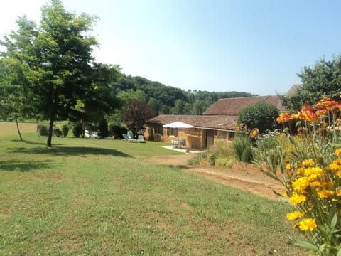 Patio, Natural landscape, Garden, Garden view