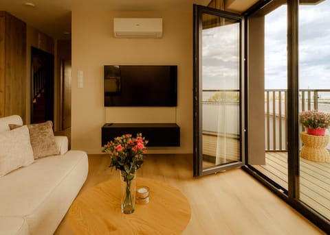 TV and multimedia, View (from property/room), Balcony/Terrace, Living room, Seating area, air conditioner