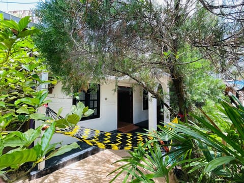 Natural landscape, Garden, Garden view