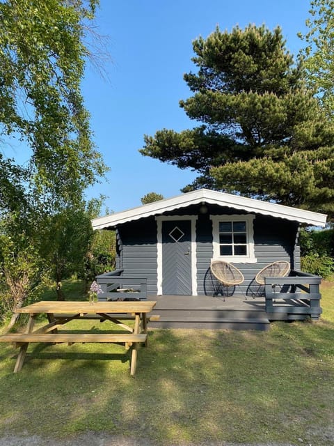 Property building, Spring, Day, Garden, Garden view