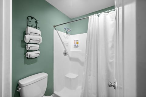 Shower, Toilet, Bathroom, acessibility