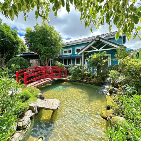 Natural landscape, Garden, Garden view
