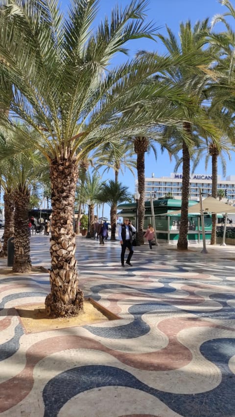 Moon apartments Apartment in Alicante