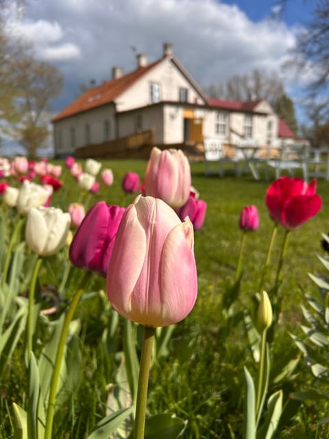 Property building, Spring, Garden, Garden view