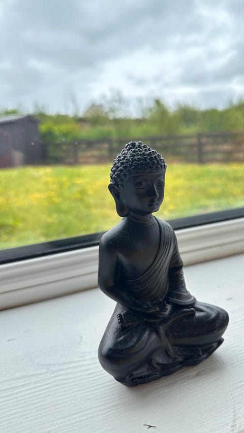 Studio Apartment Apartment in Letterkenny