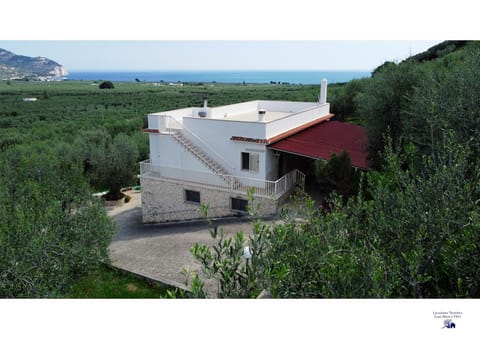 Balcony/Terrace, Landmark view