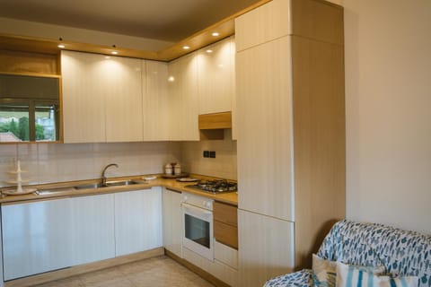 Kitchen or kitchenette, dishwasher, minibar, stove