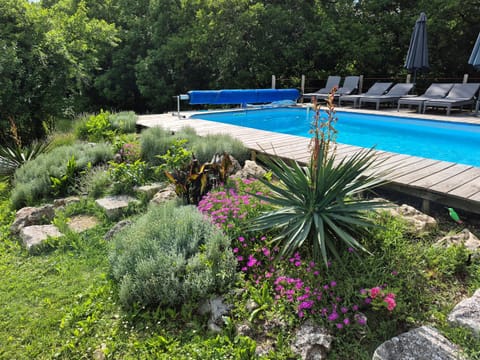 Pool view, Swimming pool