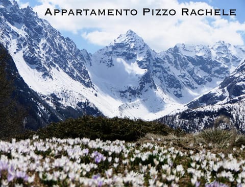 Appartamento Pizzo Rachele Apartment in Chiesa In Valmalenco