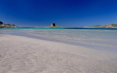 Villa Stintino House in Stintino