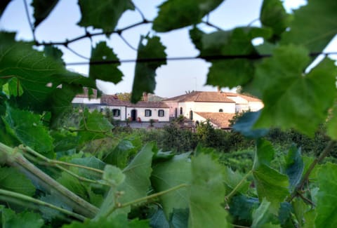 Decorative detail, Garden view