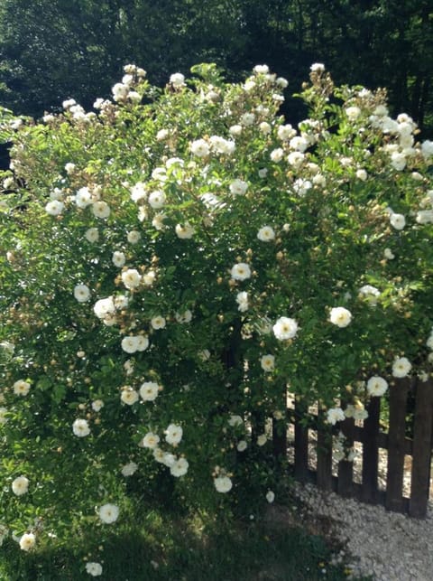 La Maison d'Ambre House in Centre-Val de Loire