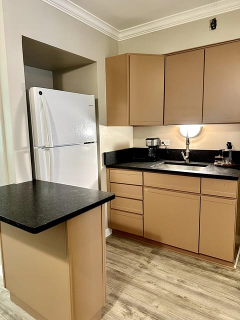 Oak Park Oasis Near Chicago Apartment in Oak Park