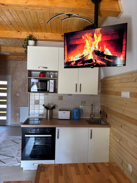 Kitchen or kitchenette, kitchen