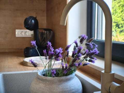 Maella garden Bed and Breakfast in Zadar