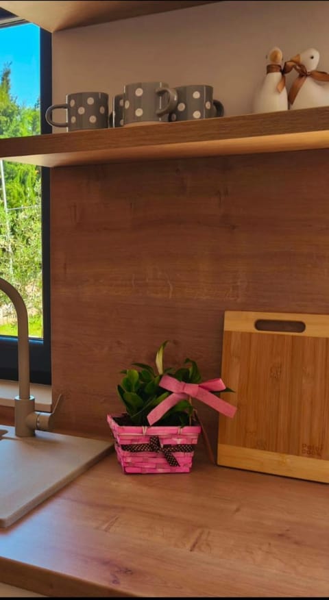 Maella garden Bed and Breakfast in Zadar