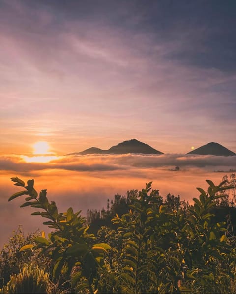 Batur OASE Bed and Breakfast in Karangasem Regency