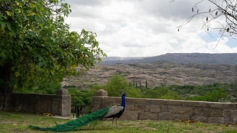 Natural landscape, Mountain view