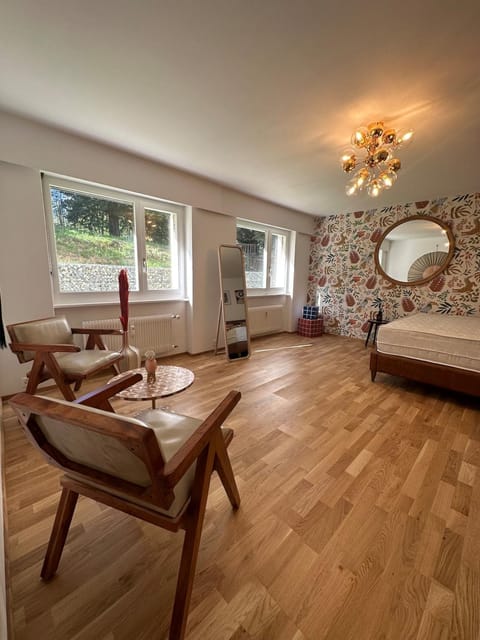 Cozy central apartment at a fantastic price! Apartment in Sierre