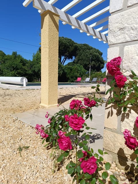 Day, Garden, Garden view