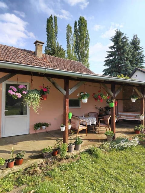 Tamara Apartment in Vojvodina