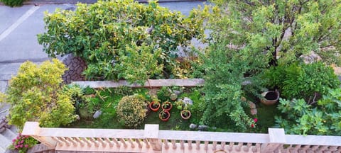 Day, Garden view