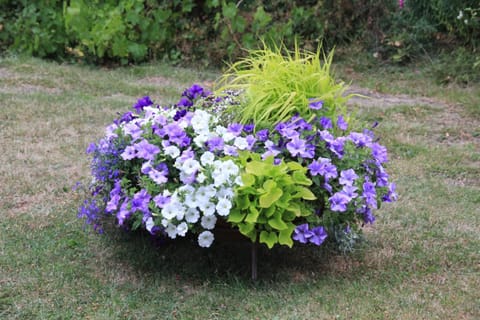 Villa Rosenborg B&B Bed and Breakfast in Kalmar County, Sweden