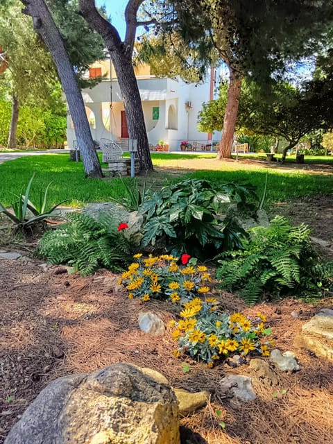 Natural landscape, Garden, Garden view