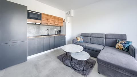 Kitchen or kitchenette, Living room, Seating area
