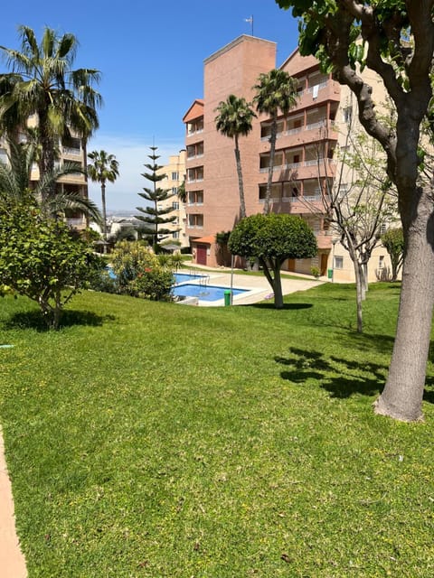 Natural landscape, Garden, Garden view, Swimming pool