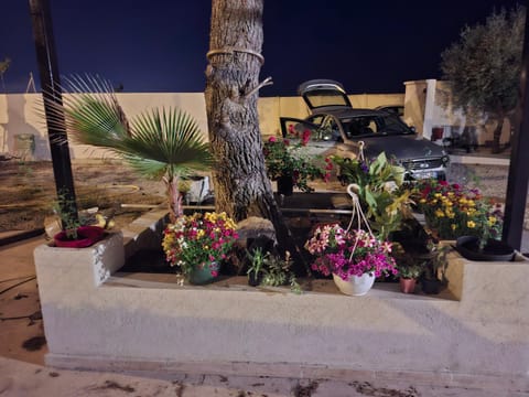 Night, Garden, Garden view