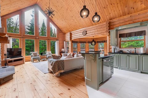 Kitchen or kitchenette, Living room, Seating area, Dining area