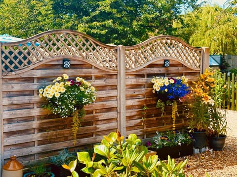 Day, Garden, Garden view